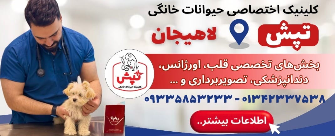 کلینیک دامپزشکی تپش در لاهیجان