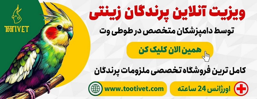 سایت ویزیت آنلاین پرندگان طوطی وت