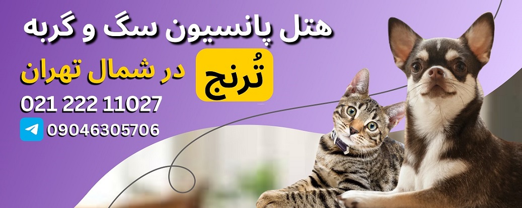 هتل پانسیون سگ و گربه ترنج در شمال تهران