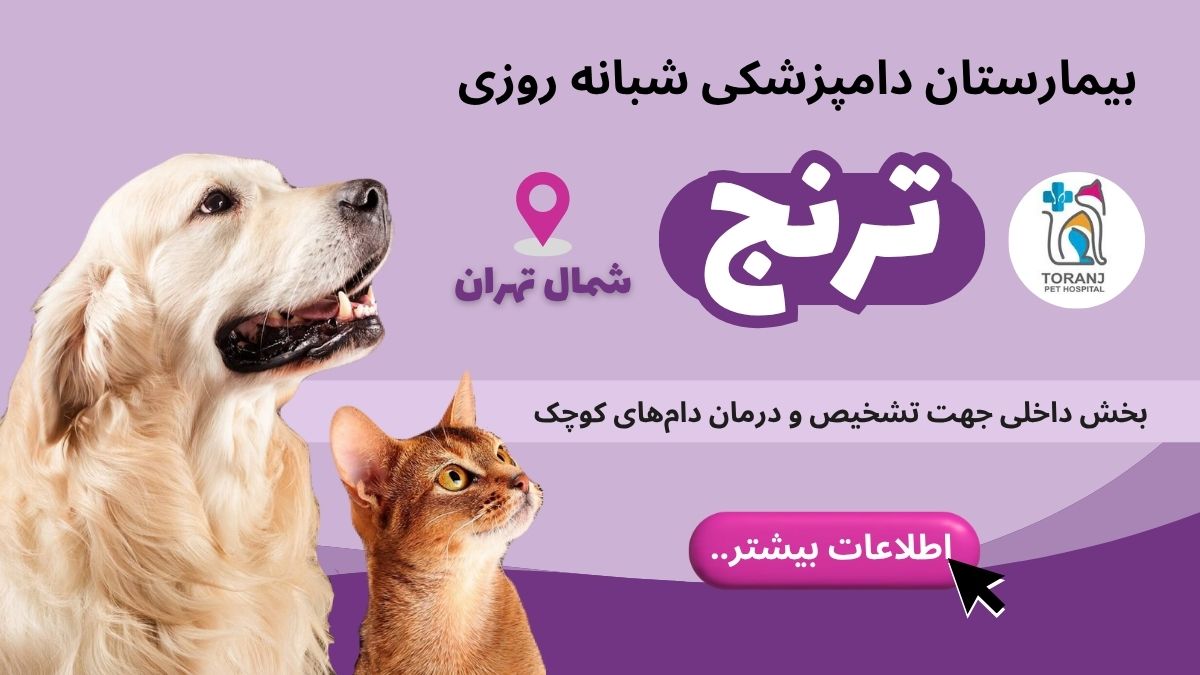 بیمارستان دامپزشکی ترنج در شمال تهران