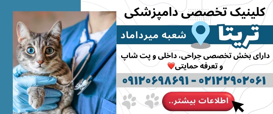 کلینیک دامپزشکی تریتا در میرداماد