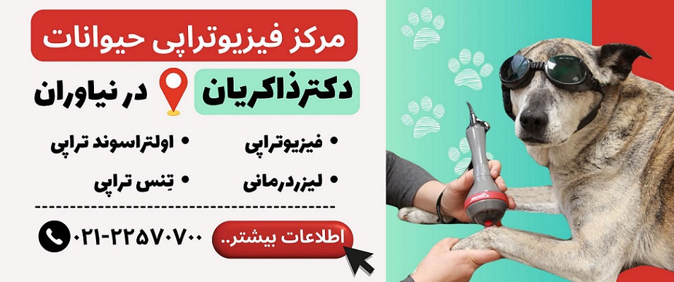 فیزیوتراپی دامپزشکی دکتر ذاکریان در نیاوران