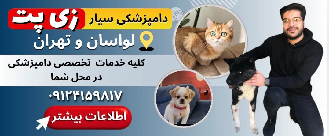 دامپزشکی سیار زی پت